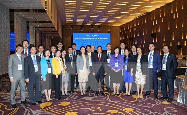 2017年越南APEC会议：第一次高官会——亚太经合组织在2017年的良好开端 hinh anh 1