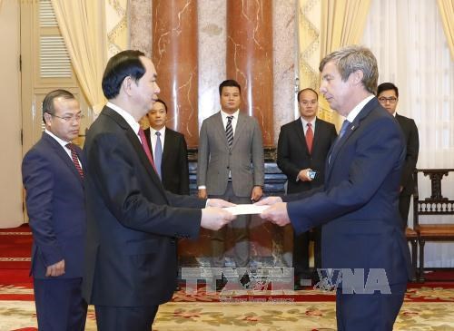越南国家主席陈大光接受六国大使递交的国书 hinh anh 2