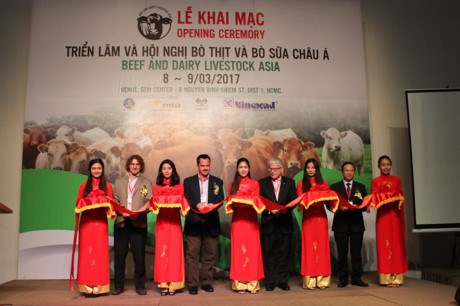 越南与澳大利亚扩大肉牛奶牛养殖业合作 hinh anh 1