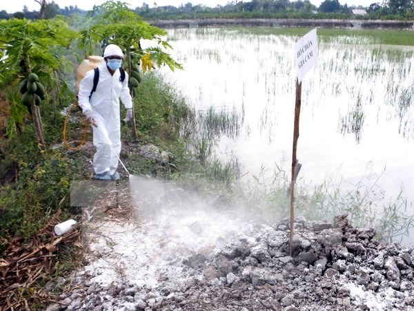 越南严防亚型H7N9禽流感疫情及各种人感染禽流感疫情传入越南 hinh anh 1