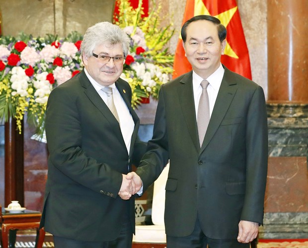 国家主席陈大光：越南十分重视巩固和发展对瑞关系 hinh anh 1