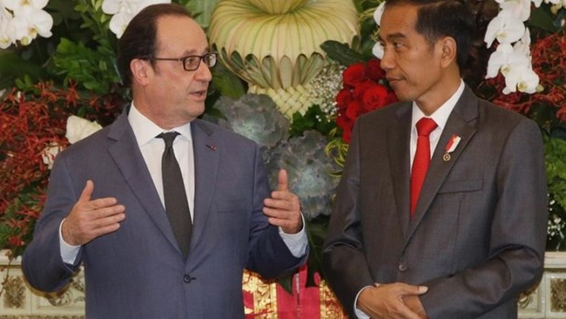 印尼与法国承诺加强多个领域的合作 hinh anh 1