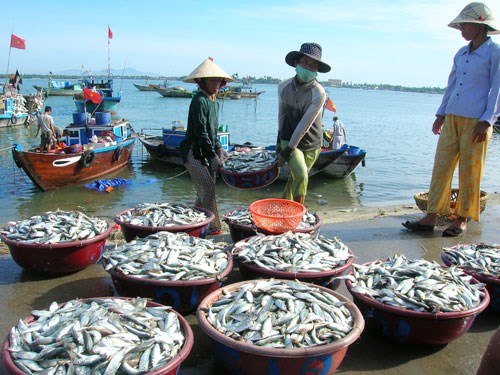 越南注重保护和恢复水产资源 hinh anh 1