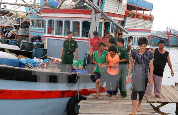 海上遇险的广义省28名渔民获救 hinh anh 1