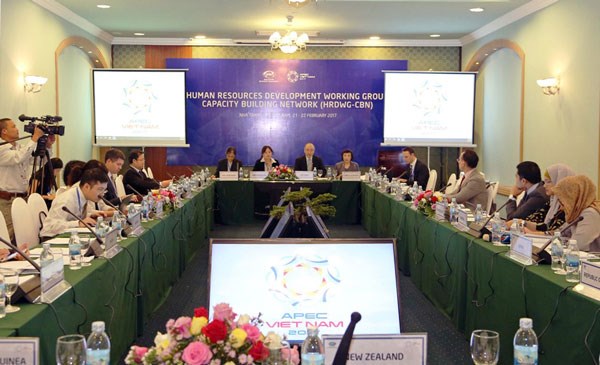 2017年越南APEC会议：人力资源开发成为APEC优先的合作领域 hinh anh 1