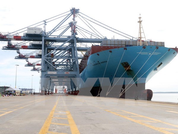越南巴地头顿省新集装箱码头迎来首艘巨型集装箱船 hinh anh 1