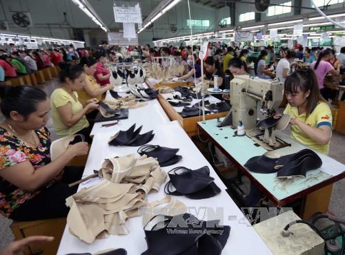 越南皮革和制鞋工业发展规划需确保其可持续性 hinh anh 1