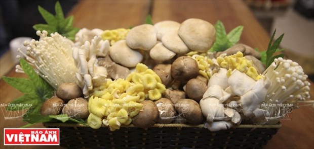 “越南理想”蘑菇品牌 hinh anh 1