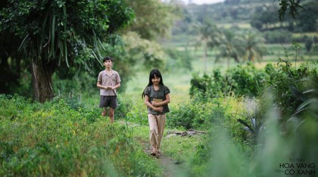 越南即将举行电影周 庆祝各大节日和2017年国家旅游年 hinh anh 1