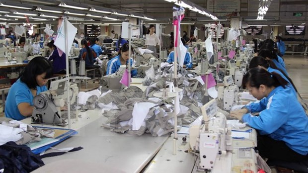 为促进越南纺织品出口创造条件 hinh anh 2