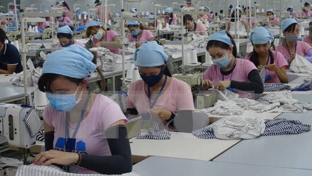 为促进越南纺织品出口创造条件 hinh anh 3