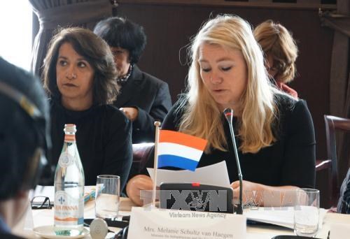 越南与荷兰适应气候变化与水资源管理政府间联合委员会第六次会议在荷兰召开 hinh anh 2