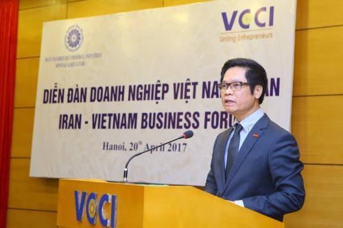 越南与伊朗经贸合作潜力仍有待挖掘 hinh anh 1