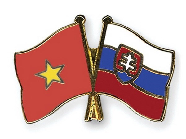 进一步加强越南与斯洛伐克的民间交流 hinh anh 1