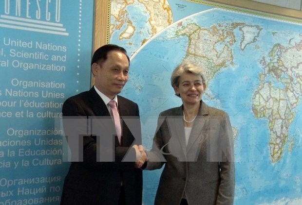 UNESCO总干事：越南是成功开展UNESCO各项活动的先行者和典范 hinh anh 1