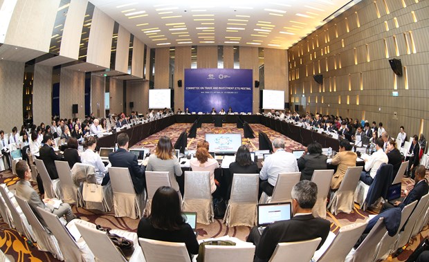 2017年APEC第二次高官会将于5月9日至18日举行 hinh anh 1
