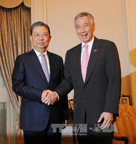 新加坡承诺积极推动东盟与中国关系不断向前发展 hinh anh 1