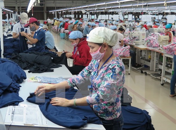 印度与越南加强纺织服装领域合作 hinh anh 1