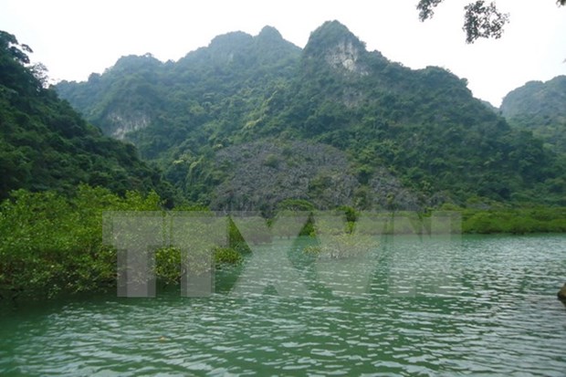 越南广宁省拜子龙国家公园成为东盟第38个遗产公园 hinh anh 1