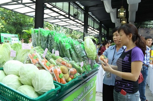 题为“2017年越南农业市场愿景”研讨会在河内举行 hinh anh 1