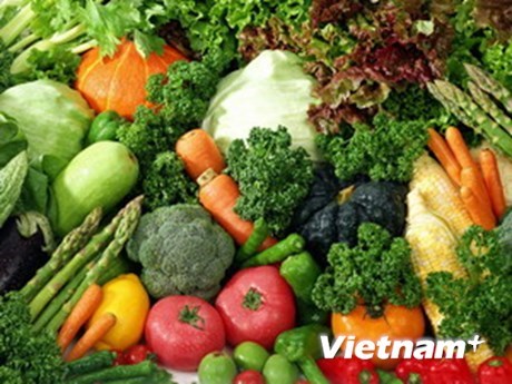 2017年前五月越南蔬果出口额约达13.8亿美元 hinh anh 1