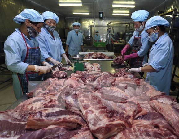 中国尚未同意进口越南猪肉 hinh anh 1