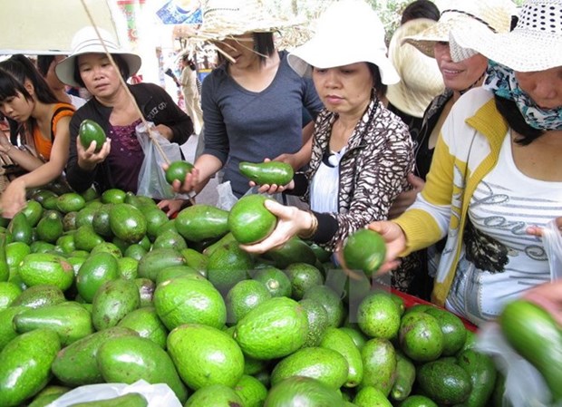 2017年第13次越南南部水果节在胡志明市热闹开幕 hinh anh 1