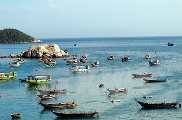 越南海洋岛屿：提高海洋保护意识 充分发挥海洋优势 hinh anh 1