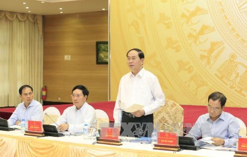 陈大光主席：争取2017年APEC会议期间举行的活动推广越南的潜力与优势 hinh anh 1