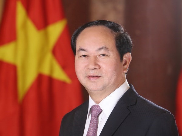 越南国家主席陈大光访俄前夕接受该国主流媒体的采访 hinh anh 1