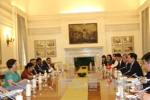 政府副总理兼外长范平明与印度外长斯瓦拉杰举行会谈 hinh anh 2