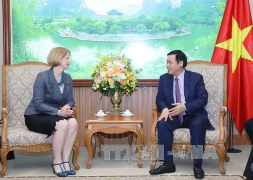 越南加强与印尼、新西兰和澳大利亚的合作 hinh anh 2