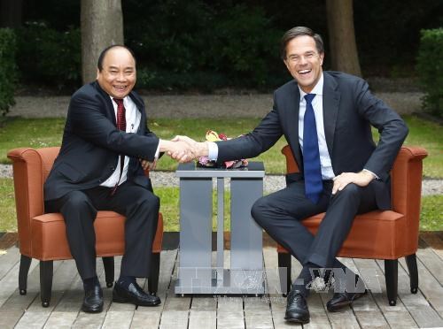 越南政府总理阮春福与荷兰首相马克·吕特举行会谈 hinh anh 1