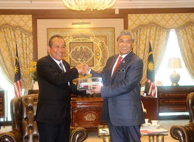 越南政府副总理张和平对马来西亚进行正式访问 hinh anh 1