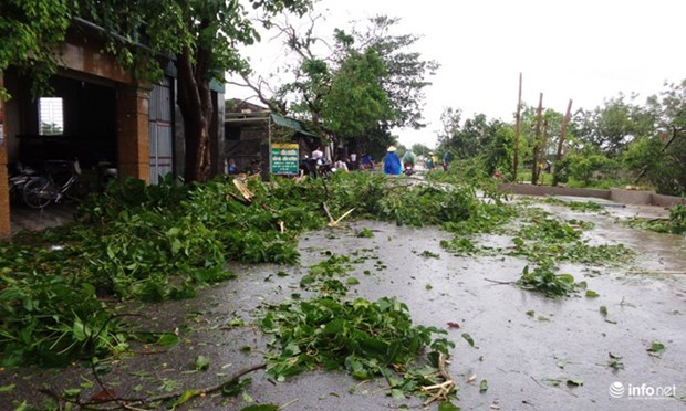 第二号台风袭击越南北部和中部各省 致使11人死亡和失踪 hinh anh 1