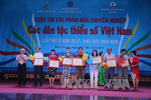 越南南部地区少数民族专业舞蹈大赛：树立越南少数民族舞蹈艺术形象 hinh anh 1