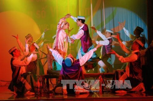 越南南部地区少数民族专业舞蹈大赛：树立越南少数民族舞蹈艺术形象 hinh anh 2