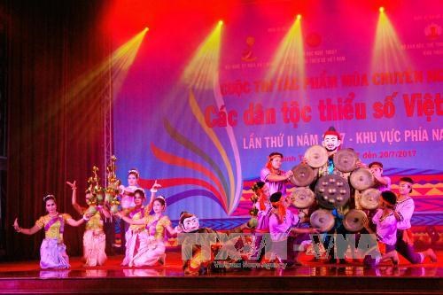 越南南部地区少数民族专业舞蹈大赛：树立越南少数民族舞蹈艺术形象 hinh anh 3