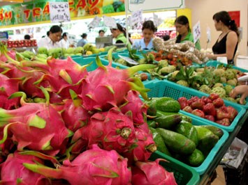 越南农产品出口额骤增达95亿美元 hinh anh 1