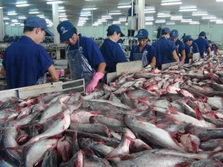 越南查鱼及水产品交易会将于10月举行 hinh anh 1
