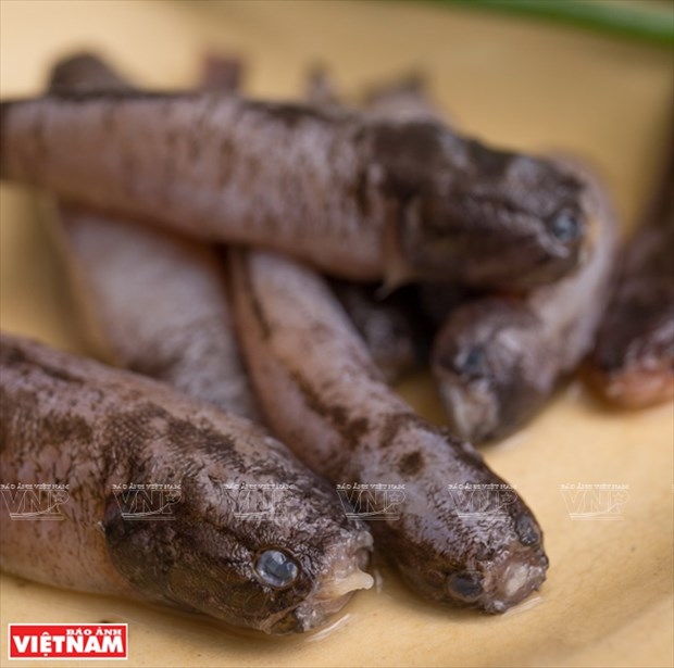 越南美食：姜黄焖虾虎鱼 hinh anh 2