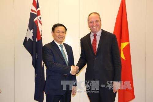 澳大利亚强调优先促进与越南的关系 hinh anh 1