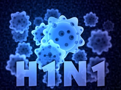 缅甸甲型H1N1流感已致死10人 hinh anh 1