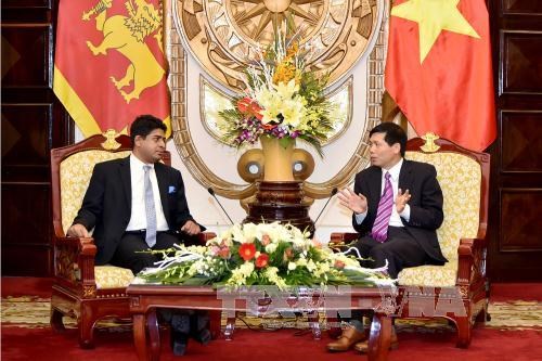 越南与斯里兰卡加大贸易与投资合作力度 hinh anh 1