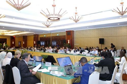 2017年APEC会议：越南优先发展多边贸易 hinh anh 1