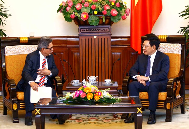 萨尔瓦多外交部代表团访问越南 hinh anh 1