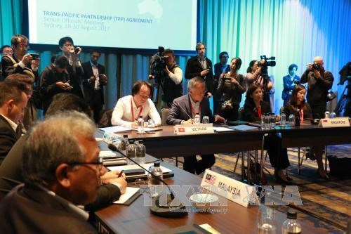 TPP谈判11国同意促进谈判让该协议尽早生效 hinh anh 1