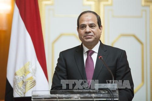 埃及总统即将对越南进行国事访问 hinh anh 1
