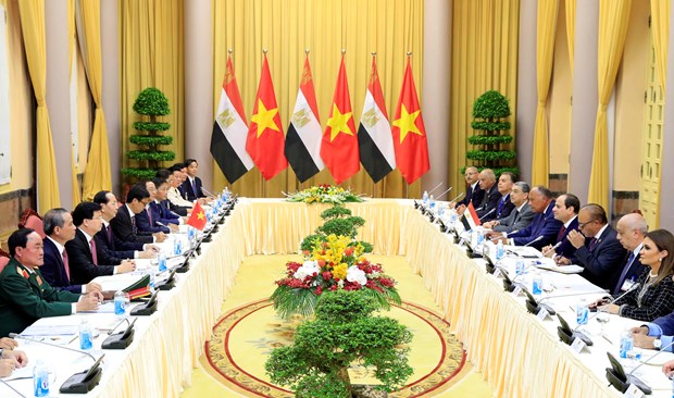 越南国家主席陈大光与埃及总统塞西举行会谈 hinh anh 2