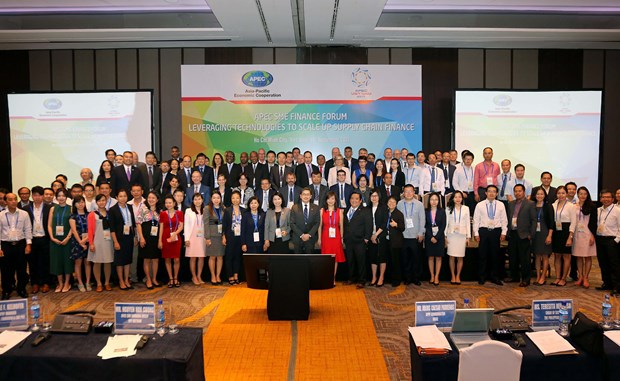 2017年APEC会议：为中小型企业寻找金融支持措施 hinh anh 2